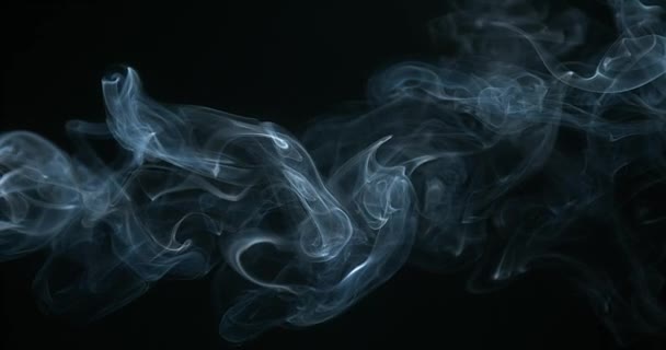 Humo de Cigarrillo subiendo — Vídeos de Stock