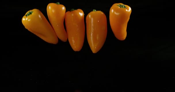 Pimientos dulces amarillos, capsicum annuum, vegetal que cae sobre el agua contra el fondo negro, cámara lenta 4K — Vídeo de stock