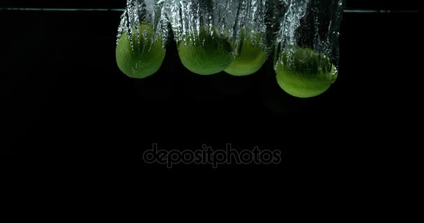 Зелений лимони, цитрусові aurantifolia, фрукти, потрапляючи в воду проти чорний фон, повільний рух 4 к — стокове відео