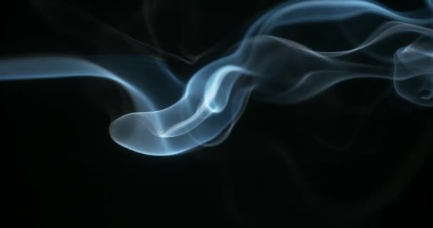 Smoke of Cigarette rising — Stock Video