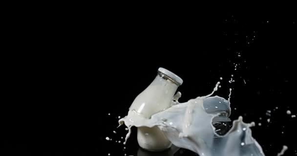 Garrafa de leite Explodindo — Vídeo de Stock