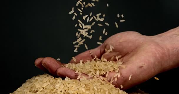 Arroz cayendo contra Negro — Vídeos de Stock