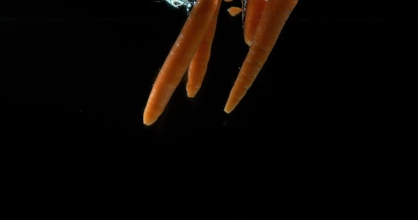 Carote, carota di daucus, Verdure che entrano in acqua su sfondo nero, Slow Motion 4k — Video Stock