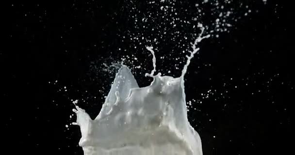 Explodindo leite contra fundo preto, câmera lenta 4K — Vídeo de Stock