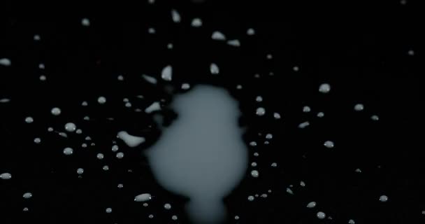 Kapku mléka klesá proti černé — Stock video