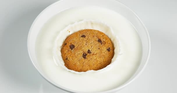 Biscoito caindo em uma tigela de leite — Vídeo de Stock