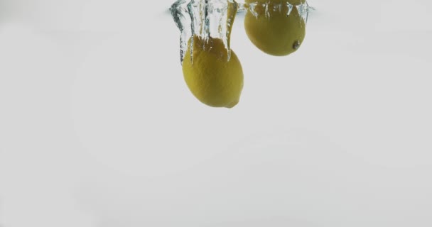 Limones amarillos, limonum cítrico, Frutas que caen al agua contra el fondo blanco, cámara lenta 4K — Vídeo de stock