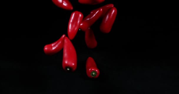 Červené sladké papriky, capsicum annuum, zeleninu proti černé pozadí, Slow motion 4k
