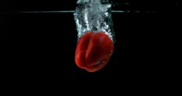 Pimienta dulce roja, capsicum annuum, vegetal que cae en el agua contra el fondo negro, cámara lenta 4K — Vídeos de Stock
