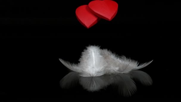 Red Heart and feathers for Saint Valentine's Day, Slow Motion — Stock Video