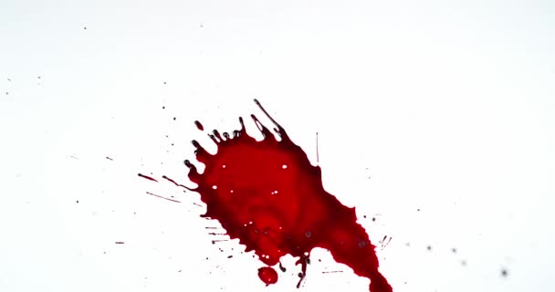 화이트에 대 한 떨어지는 혈액 — 비디오