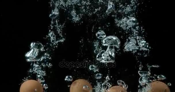 Kippeneieren invoeren van Water tegen zwarte achtergrond, Slowmotion 4k — Stockvideo
