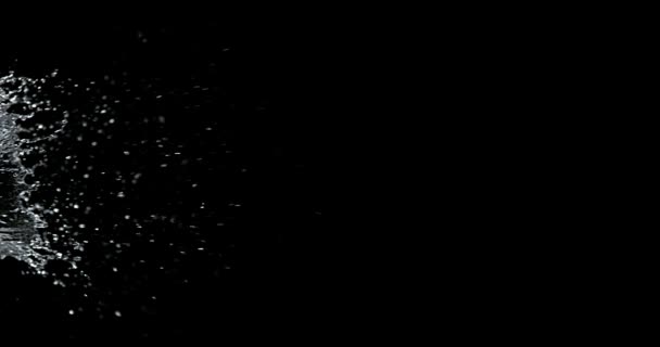 Wasser spritzt vor schwarzem Hintergrund heraus, Zeitlupe 4k — Stockvideo