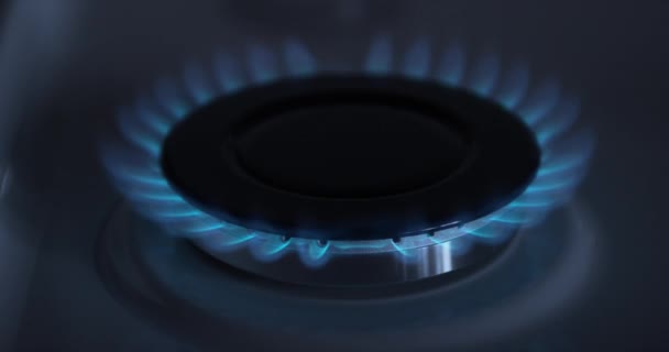 Gas Stove Burner — Stock Video