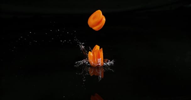 Carottes, carottes de daucus, Légumes tombant sur l'eau sur fond noir, Ralenti 4k — Video