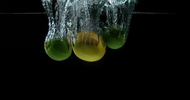 Geel, citrus limonum, Citrus aurantifolia, vruchten vallen in Water tegen zwarte achtergrond, Slowmotion 4k — Stockvideo