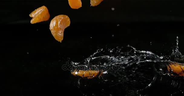 Clementinas, citrus reticulata, frutas caindo na água contra fundo preto, câmera lenta 4K — Vídeo de Stock