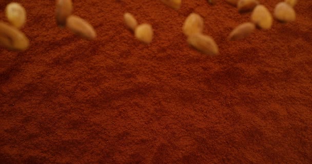 Mandorle che cadono in polvere di cioccolato nero — Video Stock