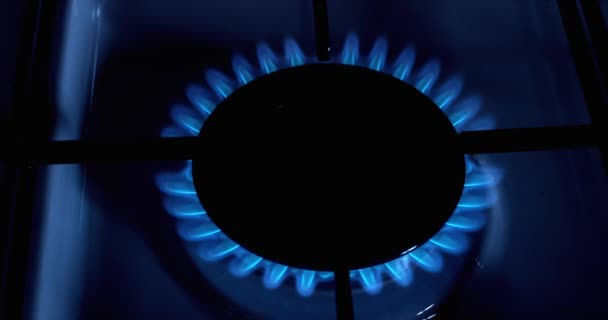 Gas Stove Burner — Stock Video