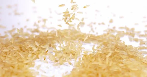 Rijst vallen tegen Wit — Stockvideo