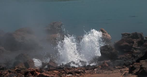 Θερμοσίφωνας Θερμές Πηγές Στη Λίμνη Bogoria Στην Κένυα Αργή Κίνηση — Αρχείο Βίντεο