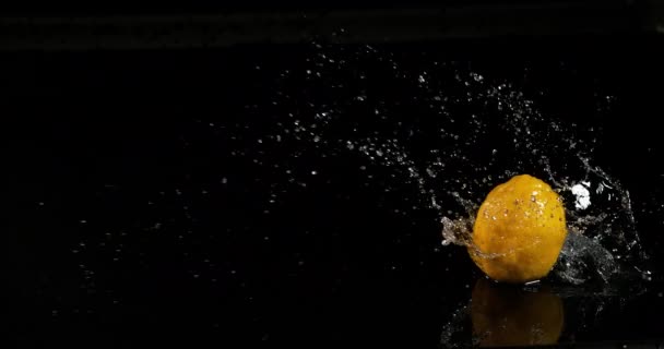 Jaune citron, Citrus limonum, Fruits tombant dans l'eau sur fond noir, Ralenti 4K 