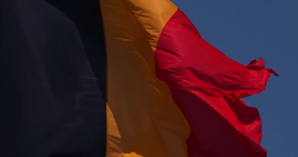 Belgiska Flaggan Viftande Vinden Slow Motion — Stockvideo