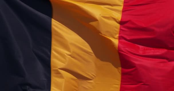 Belgická Vlajka Vlnění Větru Pomalý Pohyb — Stock video