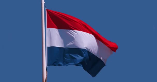 Bandera Luxemburguesa Ondeando Viento Cámara Lenta — Vídeo de stock