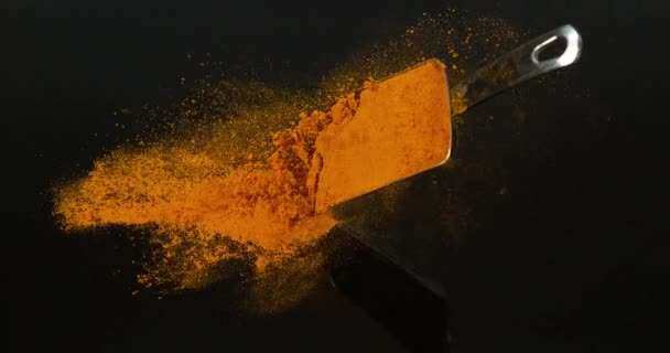 Turmeric Curcuma Longa Por Ellen Esik Fekete Háttér Indiai Fűszer — Stock videók