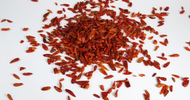 Peperoncino Caienna Capsicum Frutescens Spezie Che Cadono Sullo Sfondo Bianco — Video Stock