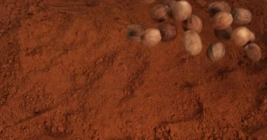 Nutmeg, myristica parçacıkları, Nutmeg Powder 'ın üstüne düşen Nut, Slow Motion 4k