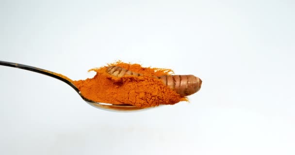 Turmeric Curcuma Longa Root Falling Curcuma Powder Indian Spice Slow — Stock Video