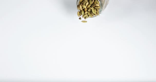 Cardamom Elettaria Cardamomum 향신료에 반대하는 움직임 — 비디오