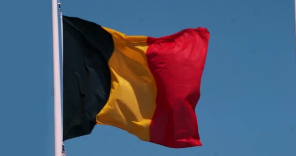 벨기에인의 바람에 — 비디오