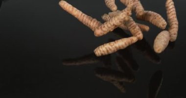 Turmerik, sokağa çıkma yasağı, Kökler Kara Arkaplan 'a karşı düşüyor, Hint Baharatı, Yavaş Hareket 4k