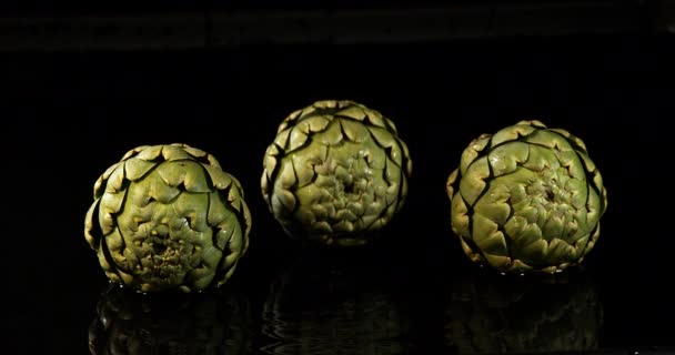 Alcachofa Cynara Scolymus Verduras Cayendo Agua Sobre Fondo Negro Cámara — Vídeo de stock