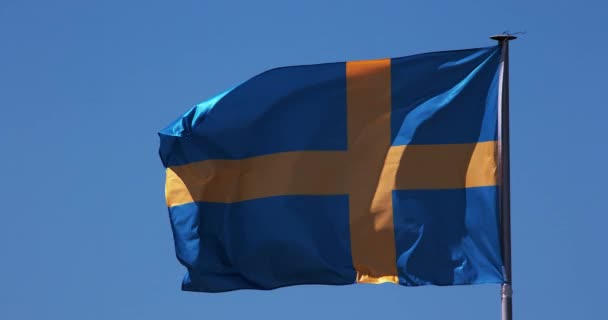 Swedish Flag Waving Wind Slow Motion — Stock Video