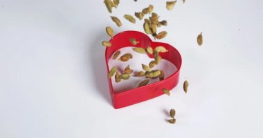 Kakule, karaağaç kakule, baharat Beyaz Arkaplan 'a düşüyor, Ağır çekim 4k