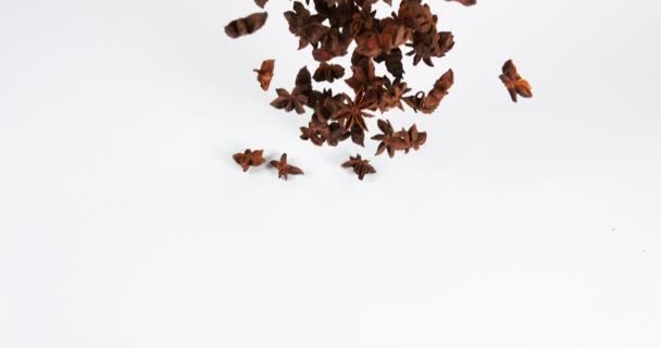 Star Anise Illicium Verum Krydda Faller Mot Vit Bakgrund Slow — Stockvideo