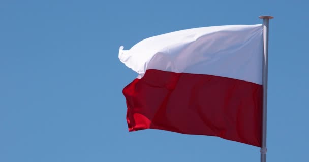 Poolse Vlag Wapperend Wind Slow Motion — Stockvideo