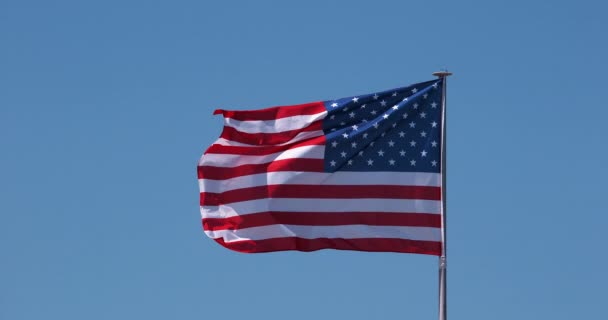 Amerikanische Flagge Weht Wind Zeitlupe — Stockvideo