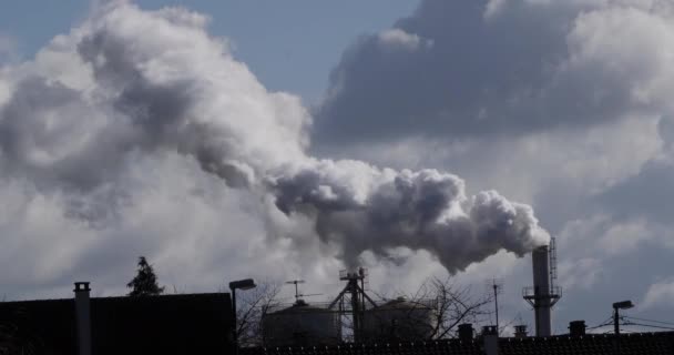 Smokestack Van Suikerraffinaderij Met Waterdamp Buurt Van Caen Normandië Real — Stockvideo