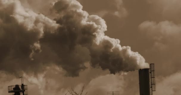 带有水汽的糖厂烟道 靠近诺曼底的卡昂 实时处理4K — 图库视频影像