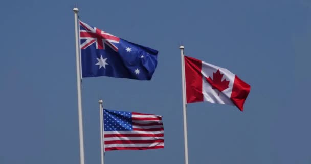 American Australian Canadian Flags Waving Wind Normandy Real Time — стокове відео