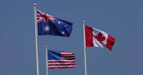 Bandeiras Americanas Australianas Canadenses Acenando Vento Normandia Tempo Real — Vídeo de Stock