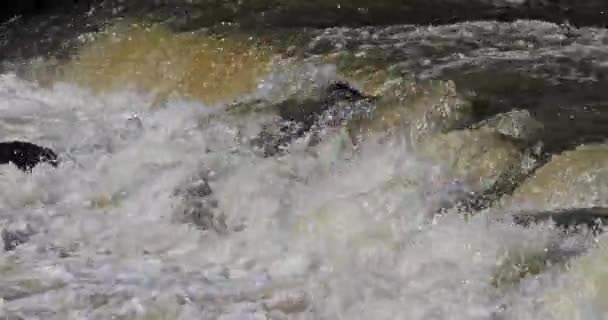 Cachoeira Courseulles Sur Mer Normandia França Tempo Real — Vídeo de Stock