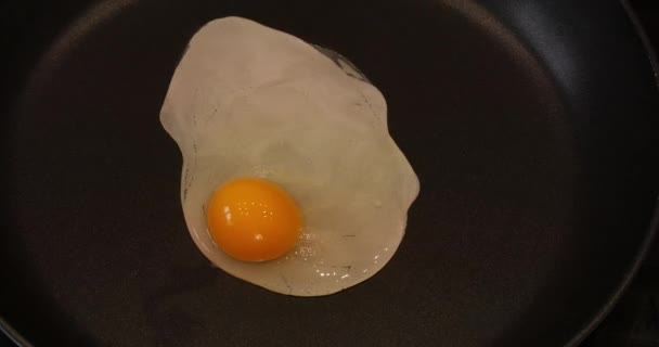 Œuf Cuit Dans Une Casserole Temps Réel — Video