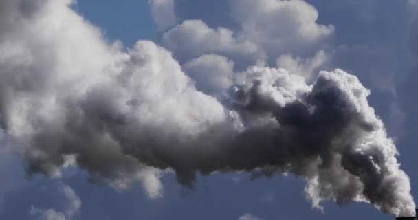 Smokestack Sockerraffinaderier Med Vattenavdunstning Nära Caen Normandie Realtid — Stockvideo