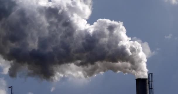 Smokestack Van Suikerraffinaderij Met Waterdamp Buurt Van Caen Normandië Real — Stockvideo